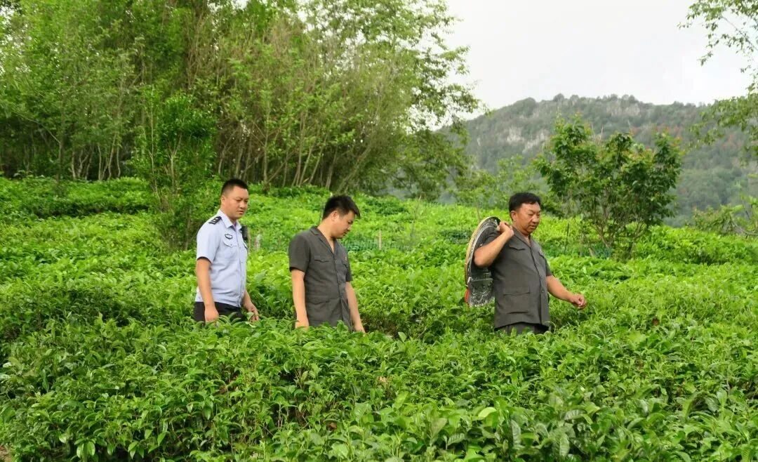 法治护航边疆安宁 善治谱写幸福篇章